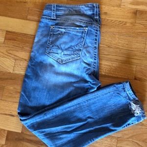 Daytrip Lynx Ankle Skinny jeans size 32S